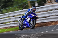 anglesey;brands-hatch;cadwell-park;croft;donington-park;enduro-digital-images;event-digital-images;eventdigitalimages;mallory;no-limits;oulton-park;peter-wileman-photography;racing-digital-images;silverstone;snetterton;trackday-digital-images;trackday-photos;vmcc-banbury-run;welsh-2-day-enduro