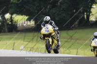 Fast Green/Yellow Bikes