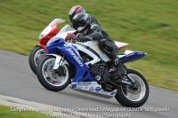 Sample Images 5 Megapixel Digital Download Qualitity