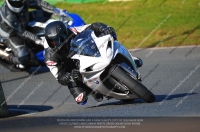 anglesey;brands-hatch;cadwell-park;croft;donington-park;enduro-digital-images;event-digital-images;eventdigitalimages;mallory;no-limits;oulton-park;peter-wileman-photography;racing-digital-images;silverstone;snetterton;trackday-digital-images;trackday-photos;vmcc-banbury-run;welsh-2-day-enduro