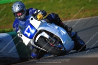 anglesey;brands-hatch;cadwell-park;croft;donington-park;enduro-digital-images;event-digital-images;eventdigitalimages;mallory;no-limits;oulton-park;peter-wileman-photography;racing-digital-images;silverstone;snetterton;trackday-digital-images;trackday-photos;vmcc-banbury-run;welsh-2-day-enduro