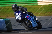 anglesey;brands-hatch;cadwell-park;croft;donington-park;enduro-digital-images;event-digital-images;eventdigitalimages;mallory;no-limits;oulton-park;peter-wileman-photography;racing-digital-images;silverstone;snetterton;trackday-digital-images;trackday-photos;vmcc-banbury-run;welsh-2-day-enduro