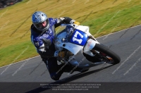 anglesey;brands-hatch;cadwell-park;croft;donington-park;enduro-digital-images;event-digital-images;eventdigitalimages;mallory;no-limits;oulton-park;peter-wileman-photography;racing-digital-images;silverstone;snetterton;trackday-digital-images;trackday-photos;vmcc-banbury-run;welsh-2-day-enduro