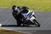 anglesey;brands-hatch;cadwell-park;croft;donington-park;enduro-digital-images;event-digital-images;eventdigitalimages;mallory;no-limits;oulton-park;peter-wileman-photography;racing-digital-images;silverstone;snetterton;trackday-digital-images;trackday-photos;vmcc-banbury-run;welsh-2-day-enduro