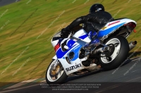 anglesey;brands-hatch;cadwell-park;croft;donington-park;enduro-digital-images;event-digital-images;eventdigitalimages;mallory;no-limits;oulton-park;peter-wileman-photography;racing-digital-images;silverstone;snetterton;trackday-digital-images;trackday-photos;vmcc-banbury-run;welsh-2-day-enduro