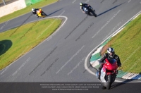 anglesey;brands-hatch;cadwell-park;croft;donington-park;enduro-digital-images;event-digital-images;eventdigitalimages;mallory;no-limits;oulton-park;peter-wileman-photography;racing-digital-images;silverstone;snetterton;trackday-digital-images;trackday-photos;vmcc-banbury-run;welsh-2-day-enduro