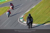 anglesey;brands-hatch;cadwell-park;croft;donington-park;enduro-digital-images;event-digital-images;eventdigitalimages;mallory;no-limits;oulton-park;peter-wileman-photography;racing-digital-images;silverstone;snetterton;trackday-digital-images;trackday-photos;vmcc-banbury-run;welsh-2-day-enduro
