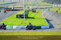 anglesey;brands-hatch;cadwell-park;croft;donington-park;enduro-digital-images;event-digital-images;eventdigitalimages;mallory;no-limits;oulton-park;peter-wileman-photography;racing-digital-images;silverstone;snetterton;trackday-digital-images;trackday-photos;vmcc-banbury-run;welsh-2-day-enduro
