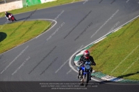 anglesey;brands-hatch;cadwell-park;croft;donington-park;enduro-digital-images;event-digital-images;eventdigitalimages;mallory;no-limits;oulton-park;peter-wileman-photography;racing-digital-images;silverstone;snetterton;trackday-digital-images;trackday-photos;vmcc-banbury-run;welsh-2-day-enduro