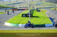 anglesey;brands-hatch;cadwell-park;croft;donington-park;enduro-digital-images;event-digital-images;eventdigitalimages;mallory;no-limits;oulton-park;peter-wileman-photography;racing-digital-images;silverstone;snetterton;trackday-digital-images;trackday-photos;vmcc-banbury-run;welsh-2-day-enduro