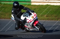 anglesey;brands-hatch;cadwell-park;croft;donington-park;enduro-digital-images;event-digital-images;eventdigitalimages;mallory;no-limits;oulton-park;peter-wileman-photography;racing-digital-images;silverstone;snetterton;trackday-digital-images;trackday-photos;vmcc-banbury-run;welsh-2-day-enduro