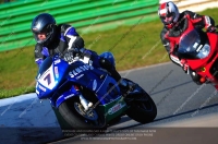 anglesey;brands-hatch;cadwell-park;croft;donington-park;enduro-digital-images;event-digital-images;eventdigitalimages;mallory;no-limits;oulton-park;peter-wileman-photography;racing-digital-images;silverstone;snetterton;trackday-digital-images;trackday-photos;vmcc-banbury-run;welsh-2-day-enduro