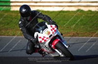 anglesey;brands-hatch;cadwell-park;croft;donington-park;enduro-digital-images;event-digital-images;eventdigitalimages;mallory;no-limits;oulton-park;peter-wileman-photography;racing-digital-images;silverstone;snetterton;trackday-digital-images;trackday-photos;vmcc-banbury-run;welsh-2-day-enduro