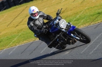 anglesey;brands-hatch;cadwell-park;croft;donington-park;enduro-digital-images;event-digital-images;eventdigitalimages;mallory;no-limits;oulton-park;peter-wileman-photography;racing-digital-images;silverstone;snetterton;trackday-digital-images;trackday-photos;vmcc-banbury-run;welsh-2-day-enduro