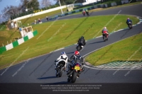 anglesey;brands-hatch;cadwell-park;croft;donington-park;enduro-digital-images;event-digital-images;eventdigitalimages;mallory;no-limits;oulton-park;peter-wileman-photography;racing-digital-images;silverstone;snetterton;trackday-digital-images;trackday-photos;vmcc-banbury-run;welsh-2-day-enduro
