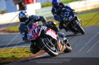 anglesey;brands-hatch;cadwell-park;croft;donington-park;enduro-digital-images;event-digital-images;eventdigitalimages;mallory;no-limits;oulton-park;peter-wileman-photography;racing-digital-images;silverstone;snetterton;trackday-digital-images;trackday-photos;vmcc-banbury-run;welsh-2-day-enduro