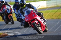 anglesey;brands-hatch;cadwell-park;croft;donington-park;enduro-digital-images;event-digital-images;eventdigitalimages;mallory;no-limits;oulton-park;peter-wileman-photography;racing-digital-images;silverstone;snetterton;trackday-digital-images;trackday-photos;vmcc-banbury-run;welsh-2-day-enduro