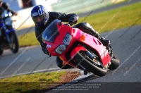 anglesey;brands-hatch;cadwell-park;croft;donington-park;enduro-digital-images;event-digital-images;eventdigitalimages;mallory;no-limits;oulton-park;peter-wileman-photography;racing-digital-images;silverstone;snetterton;trackday-digital-images;trackday-photos;vmcc-banbury-run;welsh-2-day-enduro