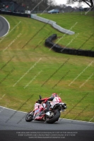 enduro-digital-images;event-digital-images;eventdigitalimages;no-limits-trackdays;oulton-no-limits-trackday;oulton-park-cheshire;oulton-trackday-photographs;peter-wileman-photography;racing-digital-images;trackday-digital-images;trackday-photos