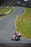 enduro-digital-images;event-digital-images;eventdigitalimages;no-limits-trackdays;oulton-no-limits-trackday;oulton-park-cheshire;oulton-trackday-photographs;peter-wileman-photography;racing-digital-images;trackday-digital-images;trackday-photos