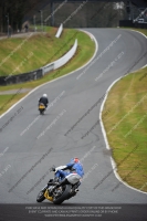 enduro-digital-images;event-digital-images;eventdigitalimages;no-limits-trackdays;oulton-no-limits-trackday;oulton-park-cheshire;oulton-trackday-photographs;peter-wileman-photography;racing-digital-images;trackday-digital-images;trackday-photos