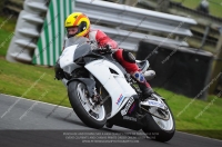 enduro-digital-images;event-digital-images;eventdigitalimages;no-limits-trackdays;oulton-no-limits-trackday;oulton-park-cheshire;oulton-trackday-photographs;peter-wileman-photography;racing-digital-images;trackday-digital-images;trackday-photos