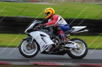 NOVICE MULTICOLOUR BIKES