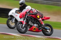 Sample Images 5 Megapixel Digital Download Qualitity