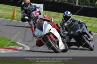 cadwell-no-limits-trackday;cadwell-park;cadwell-park-photographs;cadwell-trackday-photographs;enduro-digital-images;event-digital-images;eventdigitalimages;no-limits-trackdays;peter-wileman-photography;racing-digital-images;trackday-digital-images;trackday-photos