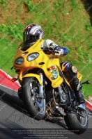 Fast Green/Yellow Bikes