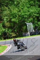 Inter Black/Silver Bikes