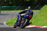 cadwell-no-limits-trackday;cadwell-park;cadwell-park-photographs;cadwell-trackday-photographs;enduro-digital-images;event-digital-images;eventdigitalimages;no-limits-trackdays;peter-wileman-photography;racing-digital-images;trackday-digital-images;trackday-photos