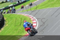 cadwell-no-limits-trackday;cadwell-park;cadwell-park-photographs;cadwell-trackday-photographs;enduro-digital-images;event-digital-images;eventdigitalimages;no-limits-trackdays;peter-wileman-photography;racing-digital-images;trackday-digital-images;trackday-photos
