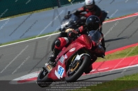 Novice Red/Orange Bikes