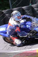 BLUE/WHITE BIKES