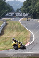 enduro-digital-images;event-digital-images;eventdigitalimages;no-limits-trackdays;oulton-no-limits-trackday;oulton-park-cheshire;oulton-trackday-photographs;peter-wileman-photography;racing-digital-images;trackday-digital-images;trackday-photos