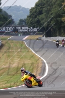 enduro-digital-images;event-digital-images;eventdigitalimages;no-limits-trackdays;oulton-no-limits-trackday;oulton-park-cheshire;oulton-trackday-photographs;peter-wileman-photography;racing-digital-images;trackday-digital-images;trackday-photos
