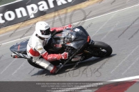 enduro-digital-images;event-digital-images;eventdigitalimages;no-limits-trackdays;oulton-no-limits-trackday;oulton-park-cheshire;oulton-trackday-photographs;peter-wileman-photography;racing-digital-images;trackday-digital-images;trackday-photos