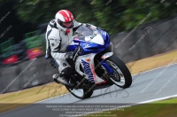 anglesey;brands-hatch;cadwell-park;croft;donington-park;enduro-digital-images;event-digital-images;eventdigitalimages;mallory;no-limits;oulton-park;peter-wileman-photography;racing-digital-images;silverstone;snetterton;trackday-digital-images;trackday-photos;vmcc-banbury-run;welsh-2-day-enduro