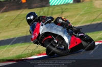 EVENING FAST/INTER MULTICOLOUR BIKES