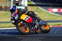 EVENING FAST/INTER RED/ORANGE BIKES