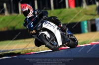 EVENING NOVICE/INTER MULTICOLOUR BIKES