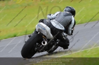 Fast Blue/White Bikes