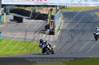 Novice Multicolour Bikes