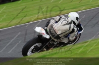 FAST BLUE/WHITE BIKES