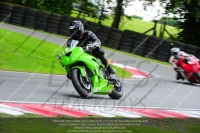 INTER GREEN/YELLOW BIKES