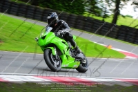 INTER GREEN/YELLOW BIKES