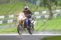 NOVICE BLUE/WHITE BIKES