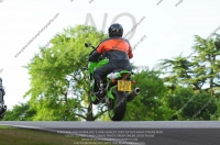 EVENING NOVICE/INTER GREEN/YELLOW BIKES