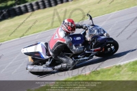 Novice Blue/White Bikes